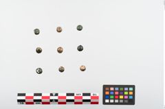 Foto von Bronzeknopf (NHMW-PRAE-024153)